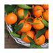 Крем для рук Atelier Rebul Mandarine Hand Cream 30ml 00555 фото 3
