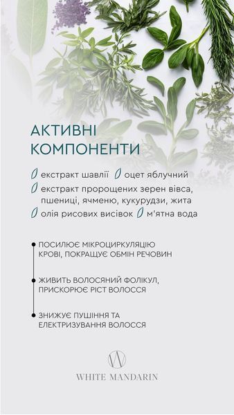 Бальзам проти випадіння волосся Balm Herbs White Mandarin Choice 250 мл 00052 фото