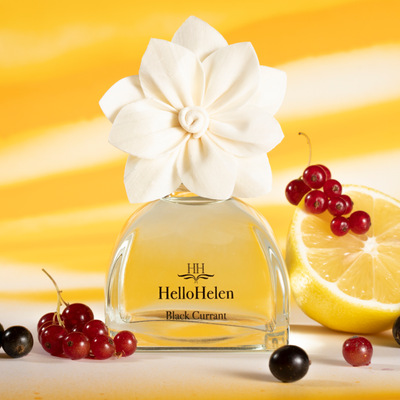 Аромадифузор HelloHelen Black Currant HF012 фото